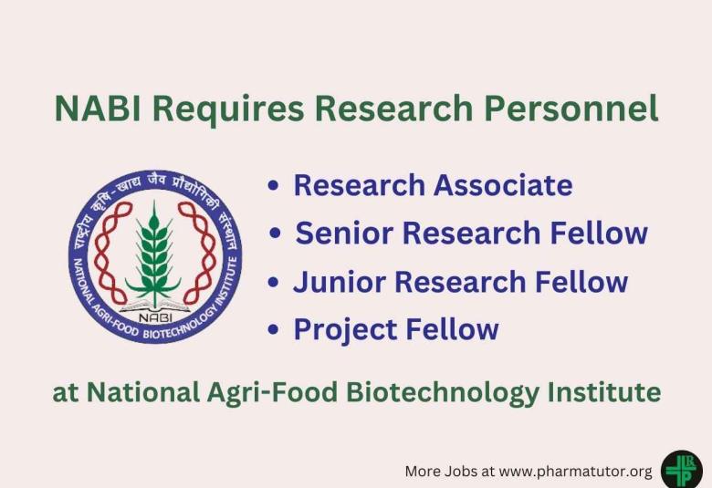 Walk in for Research Associate, JRF, SRF, Project Fellow at NABI