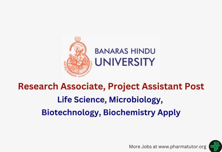Banaras Hindu University Hiring Research Associate, Project Assistant