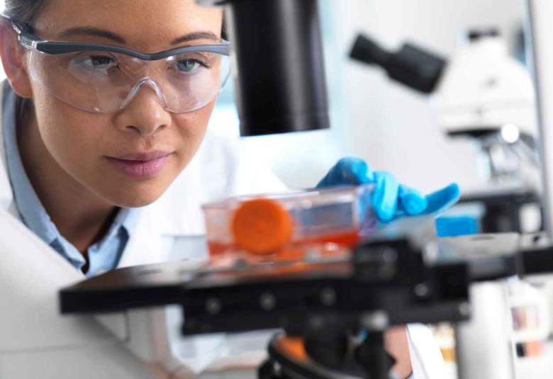 Researchers identify stem cells in the thymus for the first time
