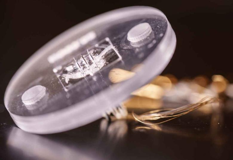 Wearable sensor to monitor last line of defense antibiotic