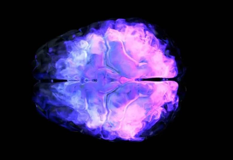 Researchers map how measles virus spreads in human brain