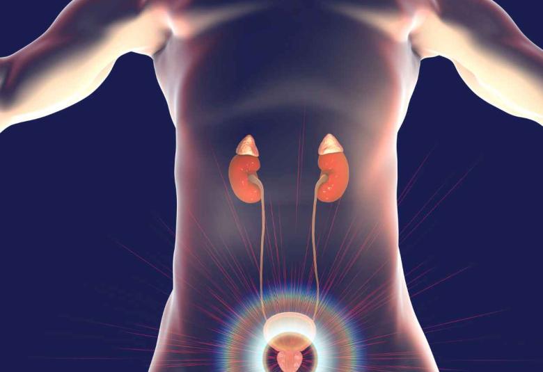 European Commission Approves Pfizer’s TALZENNA® in Combination with XTANDI® for Adult Patients with Metastatic Castration-Resistant Prostate Cancer 