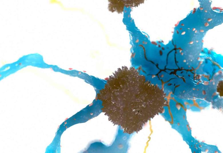 Pharmacological Inhibitor Protects Nerve Cells in ALS Disease