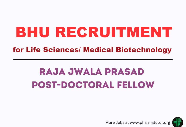 Advertisement for Raja Jwala Prasad Post-Doctoral Fellow at IIT-BHU