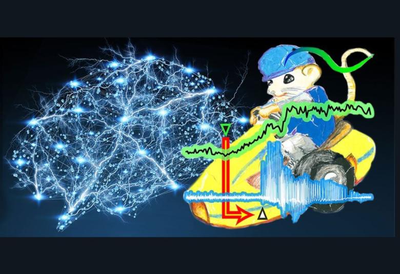 Glial Hyper-Drive for Triggering Epileptic Seizures
