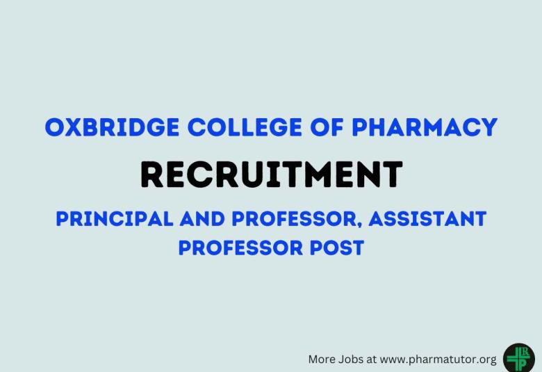 Job for Principal and Professor, Assistant Professor at Oxbridge College of Pharmacy