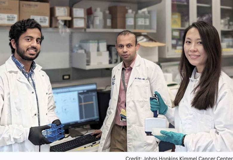 Johns Hopkins Investigators Develop Novel Treatment for T-cell Leukemias and Lymphomas