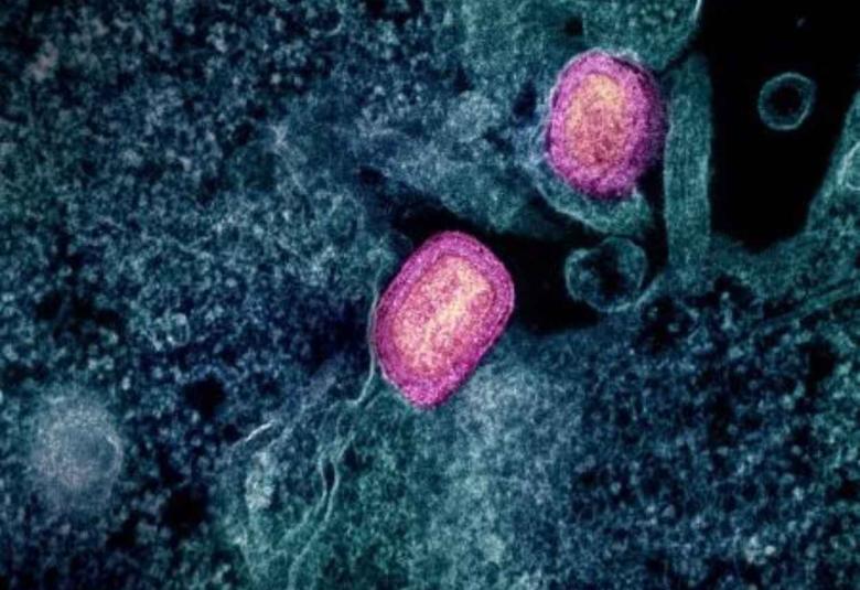 Lower Dose of Mpox Vaccine Is Safe and Generates Six-Week Antibody Response Equivalent to Standard Regimen