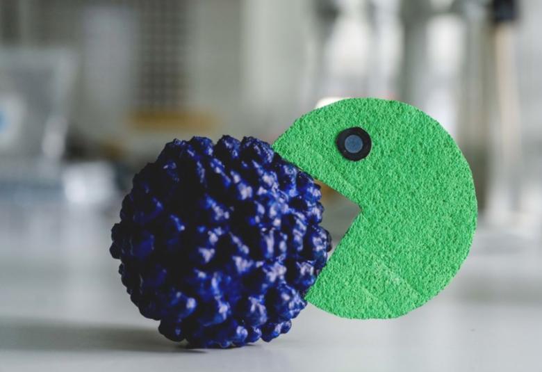 Study Paves the Way for an Active Agent Against Hepatitis E