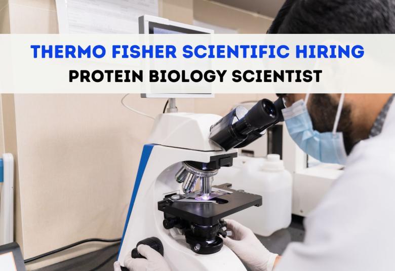 Work as Protein Biology Scientist at Thermo Fisher Scientific