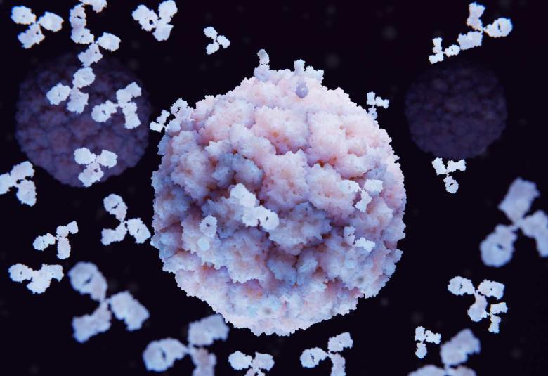 Researchers develops novel antibody treatment for Kidney Cancer