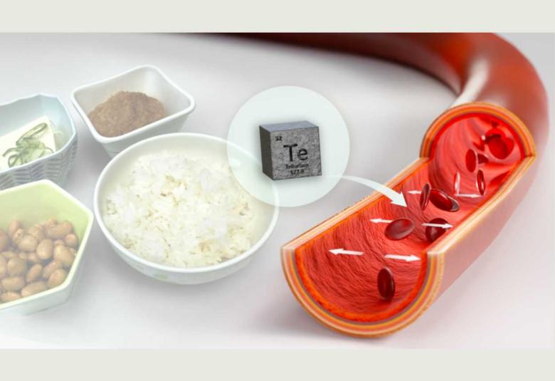 High blood pressure associated with environmental contamination by tellurium