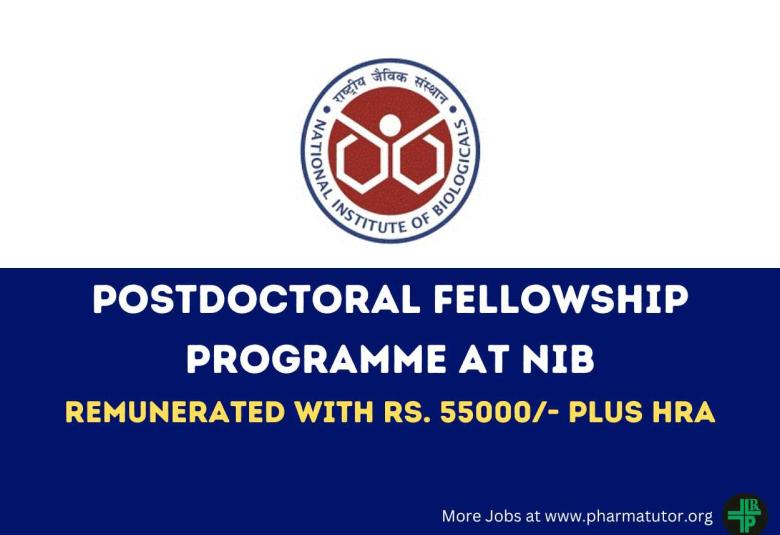 Postdoctoral Fellowship Programme at NIB