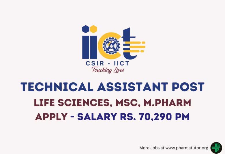 Apply Online for post of Technical Assistant at IICT
