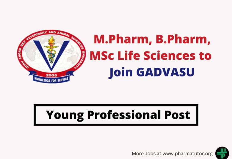 Hiring Young Professional at GADVASU