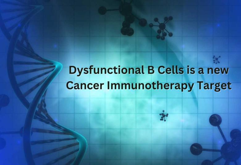 Dysfunctional B Cells is a new Cancer Immunotherapy Target
