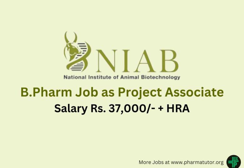 Opportunity for B.Pharm as Project Associate at National Institute of Animal Biotechnology