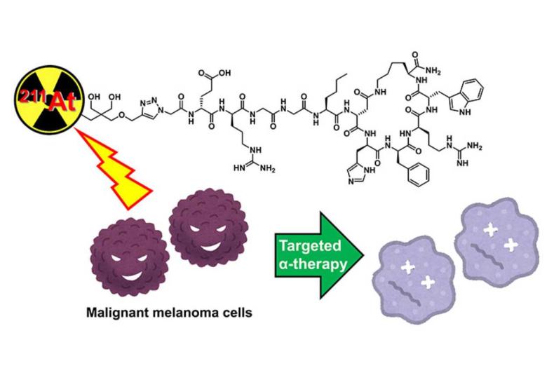 Targeted Alpha Therapy