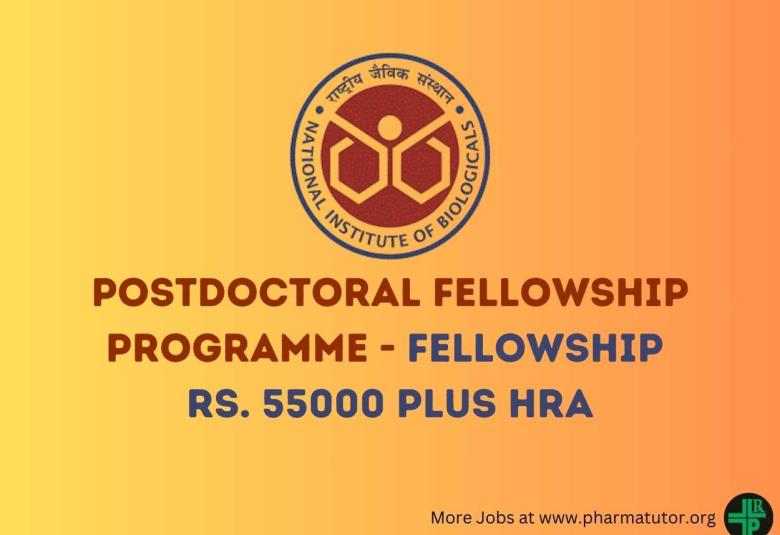 Postdoctoral Fellowship Programme at NIB