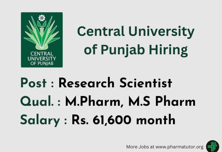 Central University of Punjab Hiring Research Scientist