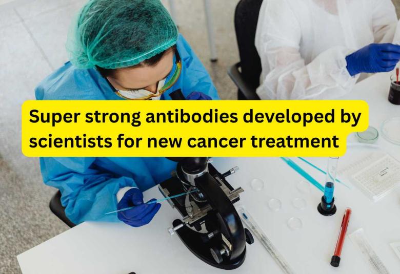 Super strong antibodies developed by scientists for new cancer treatment 