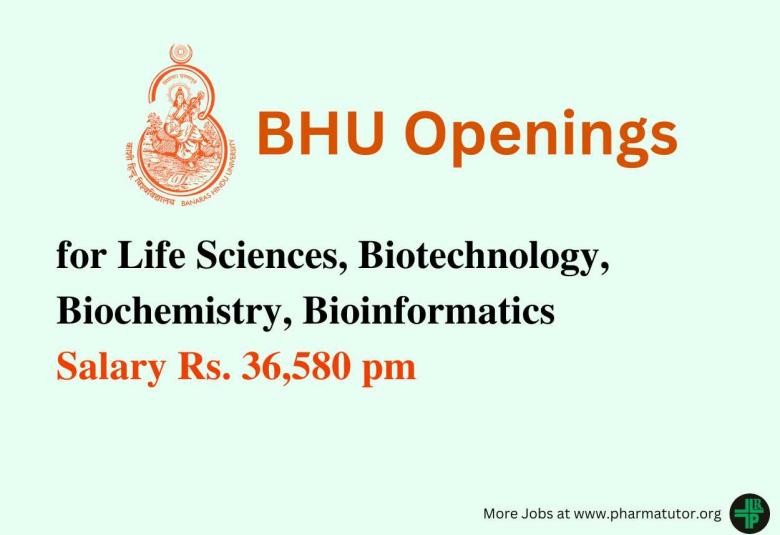 BHU Openings for Life Sciences, Biotechnology, Biochemistry, Bioinformatics
