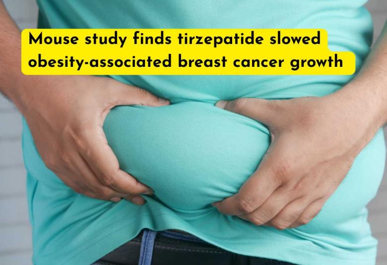 Mouse study finds tirzepatide slowed obesity-associated breast cancer growth 
