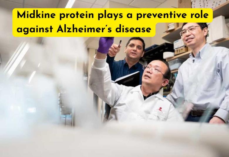 Midkine protein plays a preventive role against Alzheimer’s disease