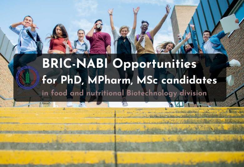 Fellowship opportunities for Pharmacy, Life Sciences and Biotech in food and nutritional Biotechnology division at BRIC-NABI