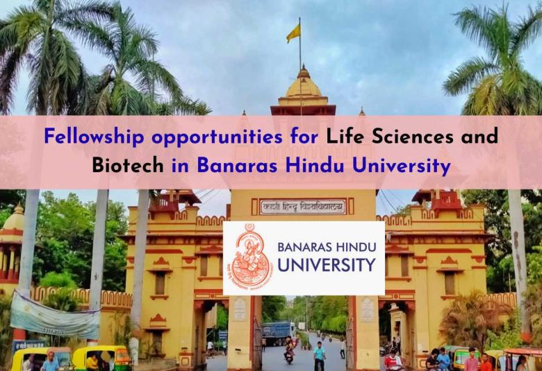 Fellowship opportunities for Life Sciences and Biotech in Banaras Hindu University