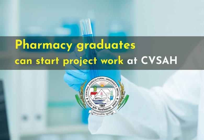 Pharmacy graduates can start project work at the College of Veterinary Science and Animal Husbandry