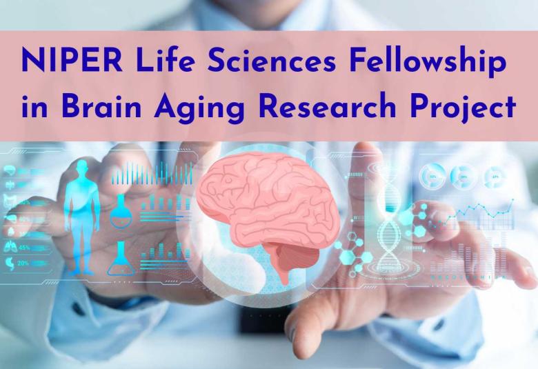 Life Sciences Fellowship in Brain Aging Research Project at NIPER