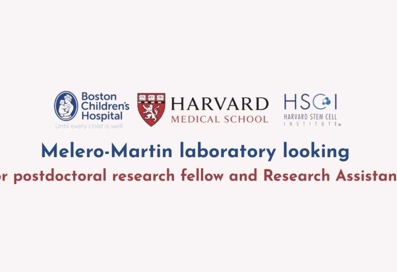 Melero-Martin laboratory looking for postdoctoral research fellow and Research Assistants