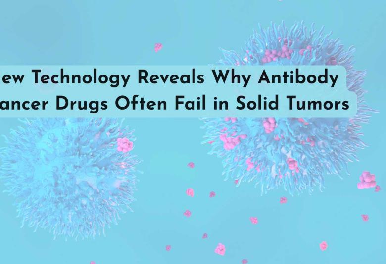 New Technology Reveals Why Antibody Cancer Drugs Often Fail in Solid Tumors