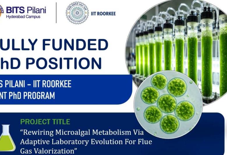 BITS Pilani IIT Roorkee Joint Ph.D. Position