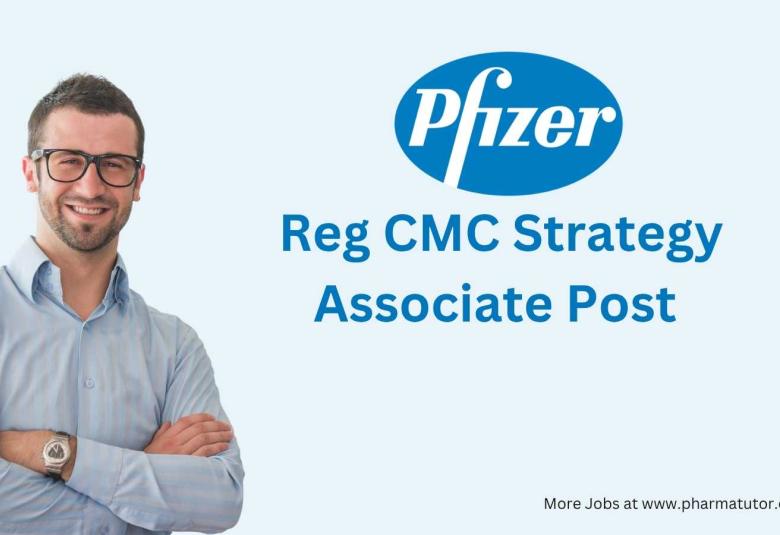 Work as Reg CMC Strategy Associate at Pfizer