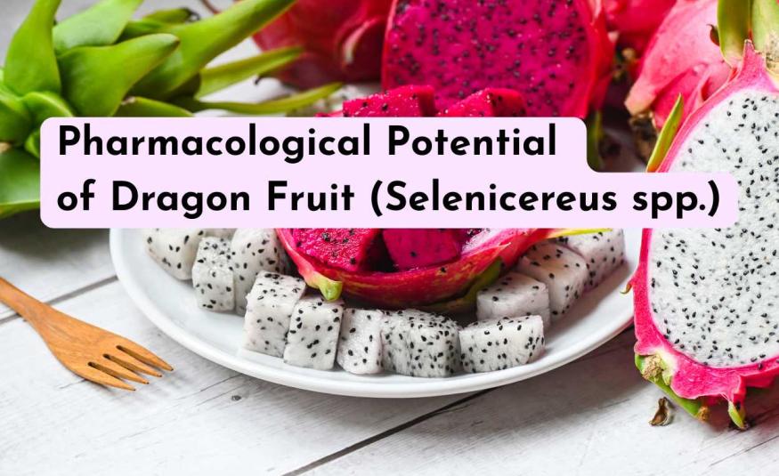 Pharmacological Potential of Dragon Fruit (Selenicereus spp.)