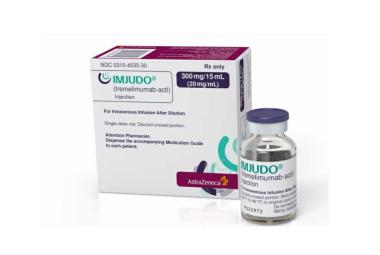 Imfinzi plus Imjudo combined with lenvatinib and transarterial chemoembolisation improves survival in liver cancer