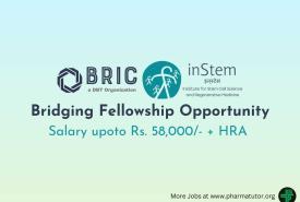 Bridging Fellowship Opportunity at BRIC-inStem