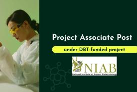 Applications are invited for Project Associate at NIAB