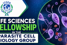 Life Sciences Fellowship in the Parasite Cell Biology Group at ICGEB