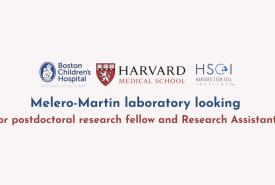 Melero-Martin laboratory looking for postdoctoral research fellow and Research Assistants