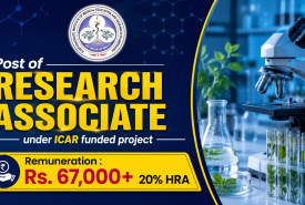 PGIMER invites application for the post of Research Associate under ICAR funded project