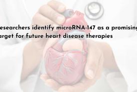 Researchers identify microRNA-147 as a promising target for future heart disease therapies