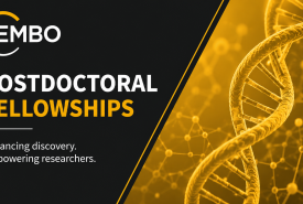 EMBO Postdoctoral Fellowships