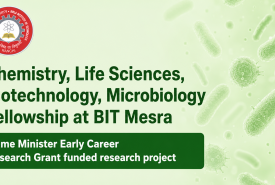Chemistry, Life Sciences, Biotechnology, Microbiology Fellowship at BIT Mesra