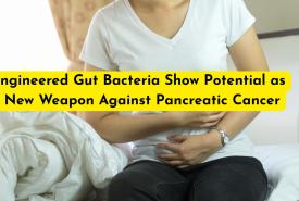 Engineered Gut Bacteria Show Potential as a New Weapon Against Pancreatic Cancer