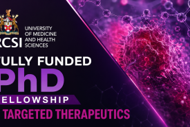 Fully Funded PhD Fellowship in Targeted Therapeutics (RCSI Dublin)