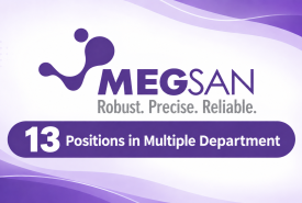 13 Positions in Multiple Department at Megsan