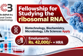 Regional Centre for Biotechnology Fellowship for Studying the ribosomal RNA